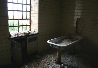 Illustration for article titled The Creepy World of Abandoned Asylums